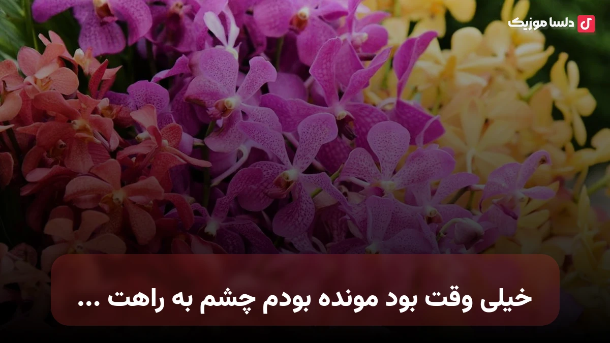 خیلی وقت بود مونده بودم چشم به راهت ریمیکس شاد